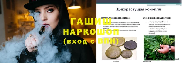 таблы Бородино