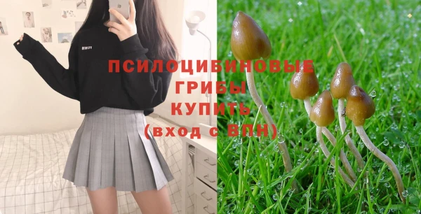 таблы Бородино