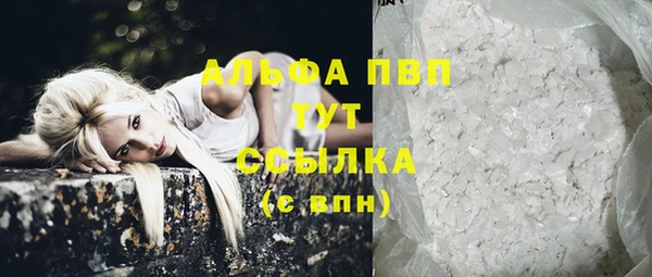 таблы Бородино