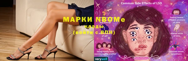 дживик Верхний Тагил