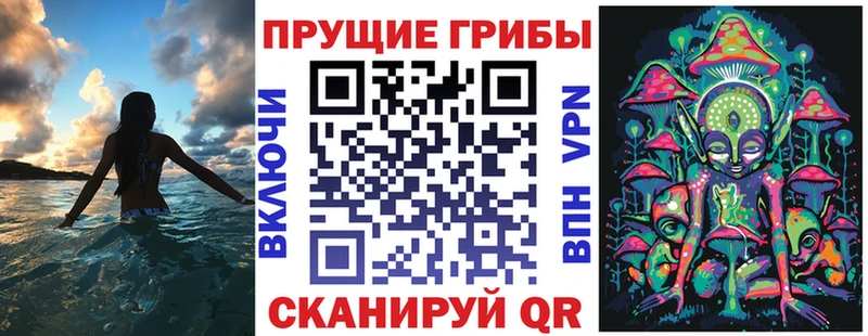 мега зеркало Мариинский Посад Галлюциногенные грибы Psilocybine cubensis